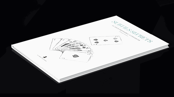 Subtle Secrets 2 by Thibault Ternon