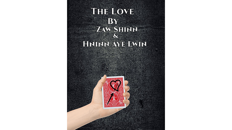 The Love By Zaw Shinn &Hninn Aye Lwinvideo DOWNLOAD